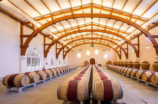 Saint-Emilion: Besuch des Bio-Weinbergs, Weine, Käse und Olivenöl