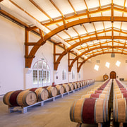 Saint-Emilion: Besuch des Weinbergs, Weine, Käse und Olivenöl