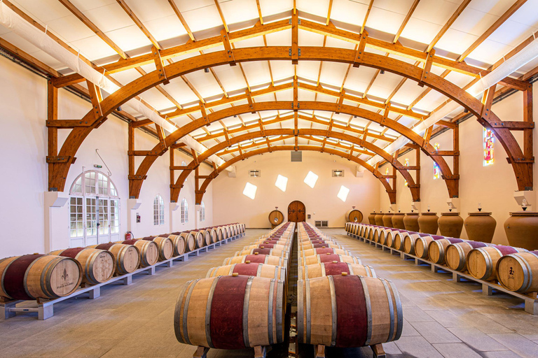 Saint-Emilion: Wine and Cheese Tasting Workshop Saint-Emilion: Wine and Cheese Tasting Workshop