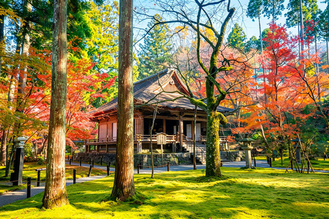 Kyoto: Arashiyama, Sanzen-in & Kifune Shrine Day Trip Departure from Osaka (Basic Package)