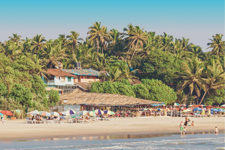 Goa: Highlights of Goa on a private tour by car