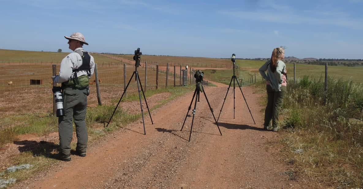 Birdwatching tour in Mértola and Castro Verde region | GetYourGuide