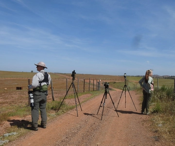 Birdwatching tour in Mértola and Castro Verde region