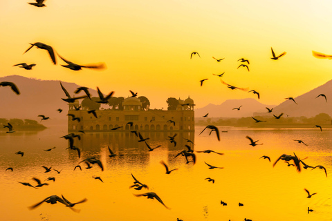 PASSEIO TURÍSTICO LOCAL DE DIA INTEIRO EM JAIPUR