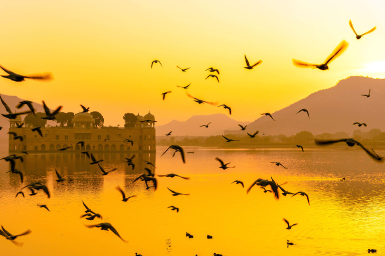 PASSEIO TURÍSTICO LOCAL DE DIA INTEIRO EM JAIPUR