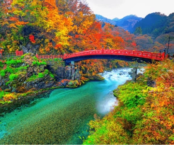 From Tokyo: Nikko luxury Tour with English-speaking Guide