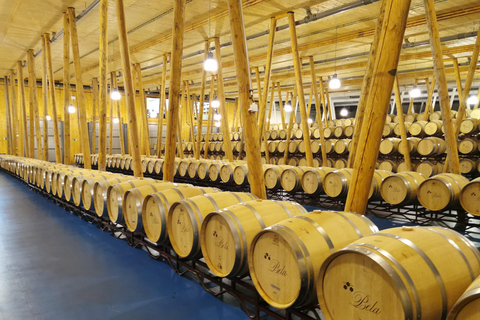 Ribera del Duero wine region private tour Ribera del Duero Private Wine Tour