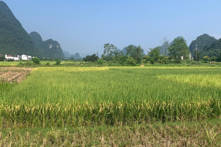 Yangshuo: Electric Scooter Tour with Painting Class PROMOTION-Yangshuo:Electric Scooter Tour with Painting Class