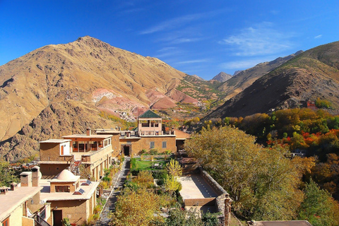 From Marrakech: Full-Day Atlas Mountain Berber Tour