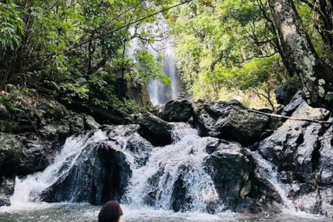 Nadi: Wycieczka do wodospadu z przekąskami i lunchemNadi: Wycieczka do wodospadu z poczęstunkiem i lunchem
