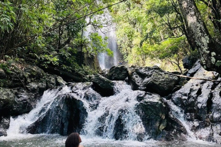Nadi: Wycieczka do wodospadu z przekąskami i lunchemNadi: Wycieczka do wodospadu z poczęstunkiem i lunchem