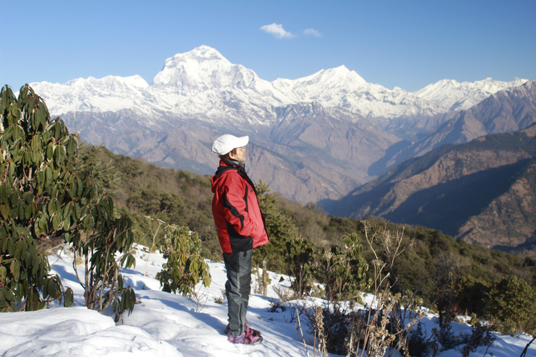 Desde Katmandú: Senderismo de 15 días por el Campo Base del Annapurna con Yoga