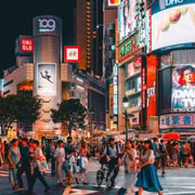 Tokyo Private Day Trip with Guide & Pickup