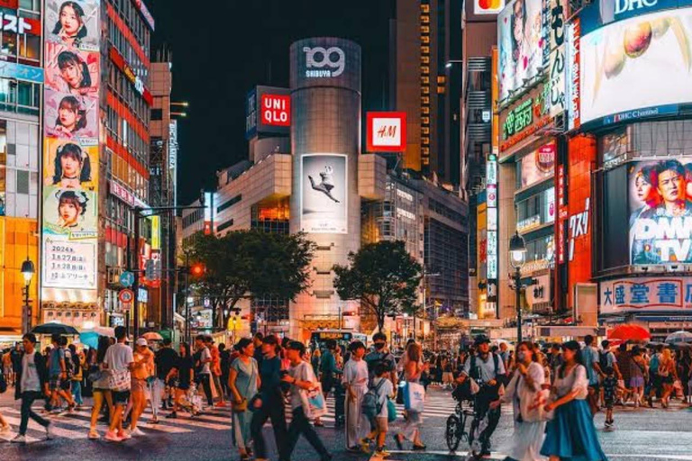 Tokyo Private Full-Day Customizable Tour with English Guide