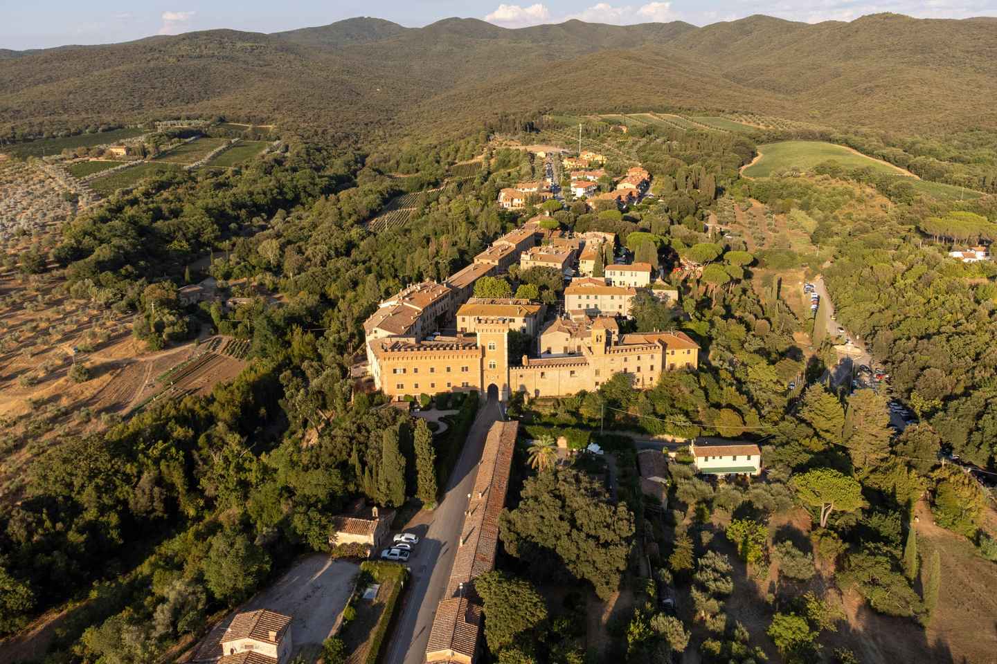 Da Firenze: tour enologico a Bolgheri e Casale Marittimo