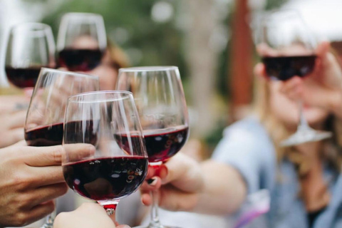 Avignon: Pont du Gard Vineyards, Wine Tasting, Heritage Tour