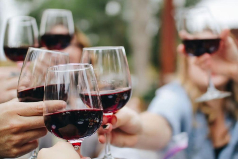 Avignon: Pont du Gard Vineyards, Wine Tasting, Heritage Tour