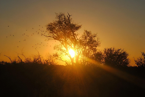 10 day Kruger and beyond photographic tour