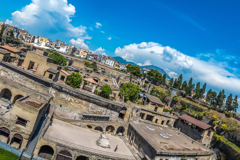 Vesuvius and Herculaneum from Naples