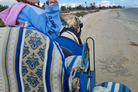 Djerba: Sunset Carriage Ride to Flamingo Island Djerba: Sunset Carriage Ride to Pink Flamingo Island