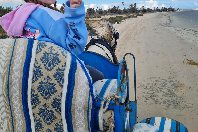 Djerba: Sunset Carriage Ride to Flamingo Island Djerba: Sunset Carriage Ride to Pink Flamingo Island