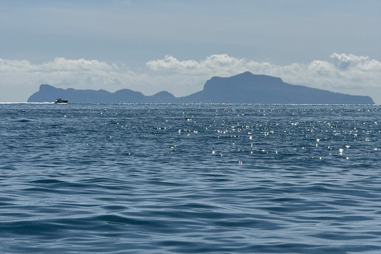 Naples: Private Coastal Boat Tour