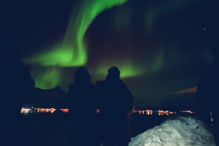 Tromsø: Northern Lights Tour with bonfire, sausages & snacks Tromsø: Northern Lights Guided Tour with Bonfire and Snacks