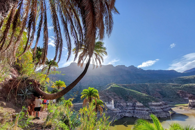 Gran Canaria Cueva, Oasis, Aventura en la Garganta Roja y Picnic acogedorGran Canaria Discovery Adventure Tour con Picnic de Tapas