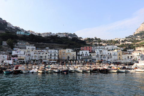 Capri und Anacapri Tour: Faraglioni und Höhlen von Sorrent aus