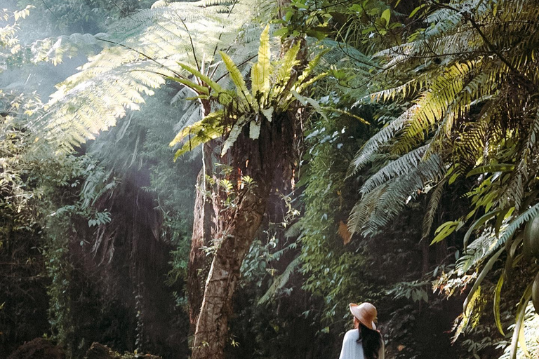 Bali: Buggy Ride, White Water Tubing, and Waterfall Tour