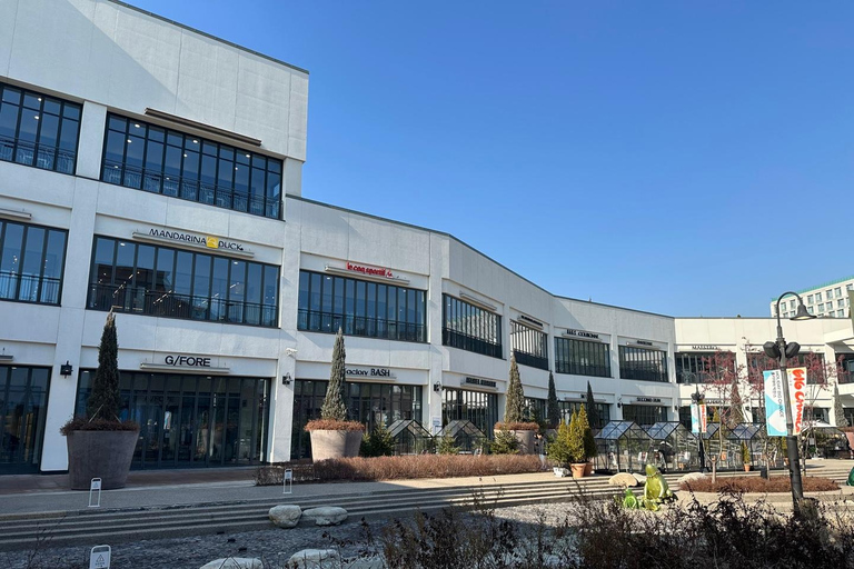 Seoul: Closest DMZ Observatory with North Korea View (1.4km) Group Tour with Myeongdong Subway Station Meeting Point