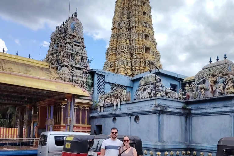 From Kandy: Sigiriya Rock Fortress & Dambulla Day Trip