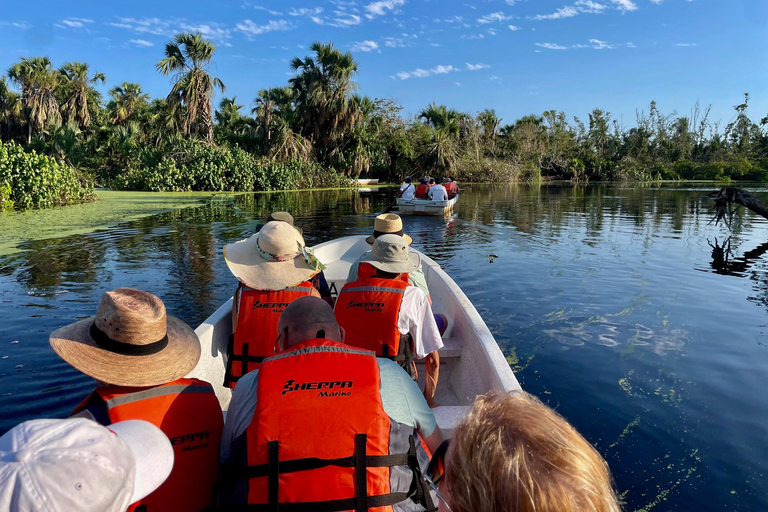 Desde Huatulco: Excursión Ecológica Cocodrilos y TortugasServicio Privado en Vehículo Avanza