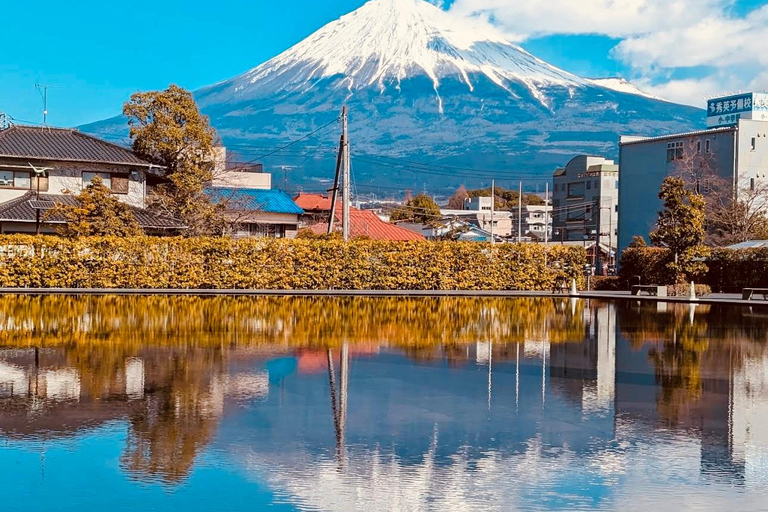 Tokio: Private Tagestour zum Mt.Fuji mit englischsprachigem Fahrer