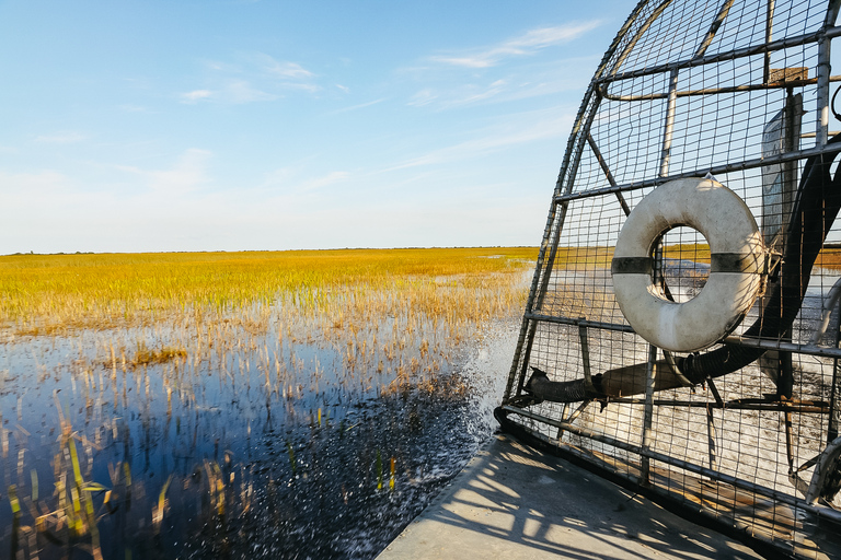 Miami: Hop-on-hop-off-bustour per open-top bus2-daags ticket, baaicruise en Everglades-ervaring