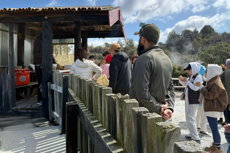 Auckland: Rotorua Te Puia & Maori Village Tour with Haka