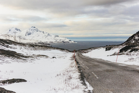 Tromsø: Paisagem ártica e passeio pelos fiordes com lanches