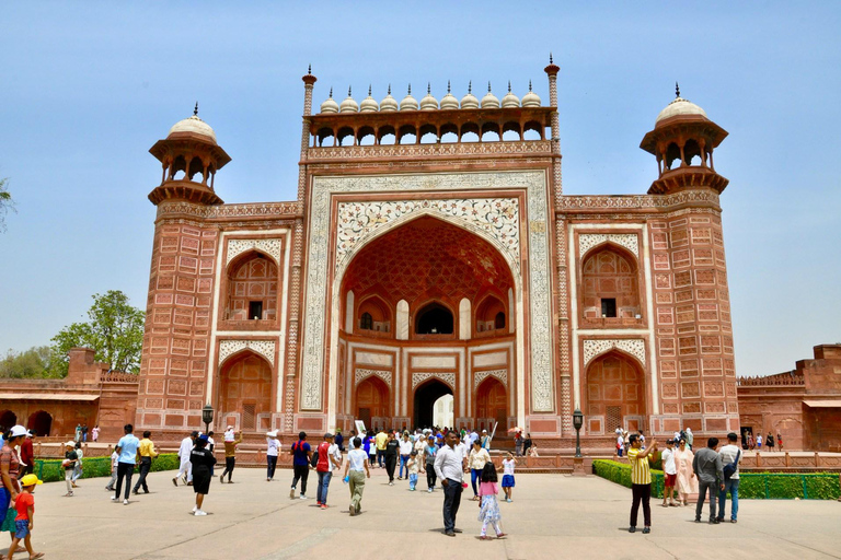 Agra: Tour SOS all&#039;alba del Taj Mahal e della fauna selvatica degli elefantiTour privato con biglietti d&#039;ingresso e pranzo