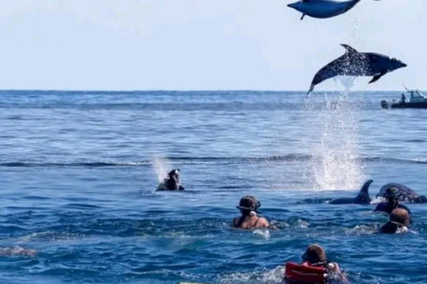 Zanzibar: Snorkelen bij Mnemba Atoll &amp; Dhow Cruise bij zonsondergang