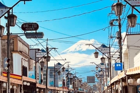 Visite guidée privée du Mont Fuji et de Hakone