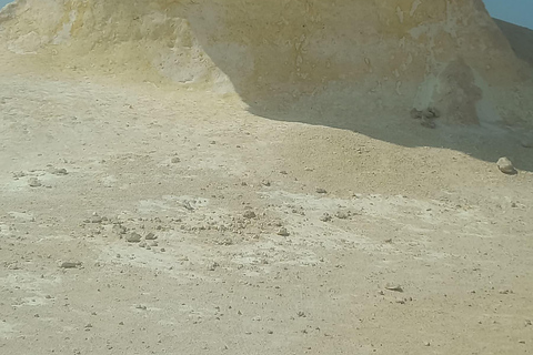 Doha: West Coast Qatar Tour, Sculptures, Camel Racing track From Doha Premium West Qatar Tour