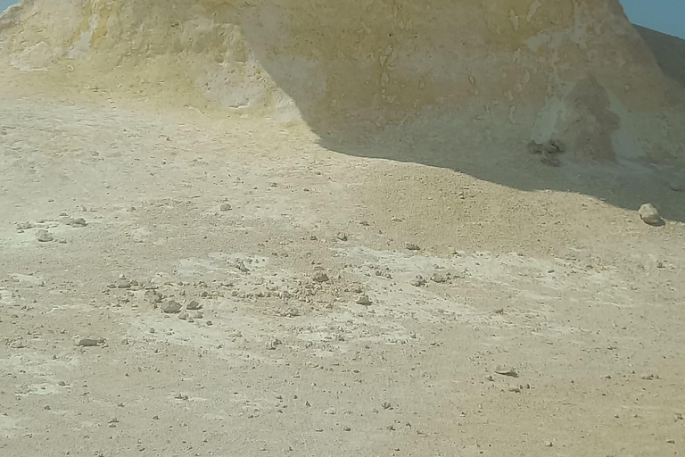 Doha: West Coast Qatar Tour, Sculptures, Camel Racing track From Doha Premium West Qatar Tour