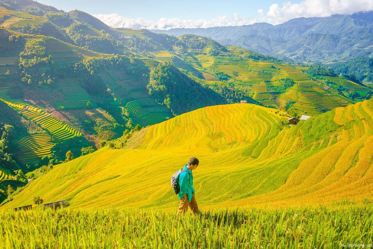 From Hanoi: Visit Sapa 3 Days & See The Terraced Fields Group Tour With A 4-Star Hotel