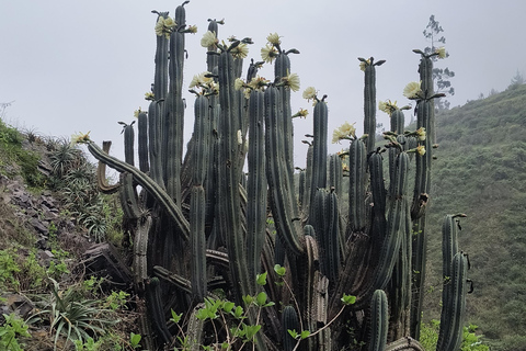 Hike in the Andes Mountains of Lima (Antakallo Waterfall) Hike in the Surroundings of Lima – Antakallo Waterfall