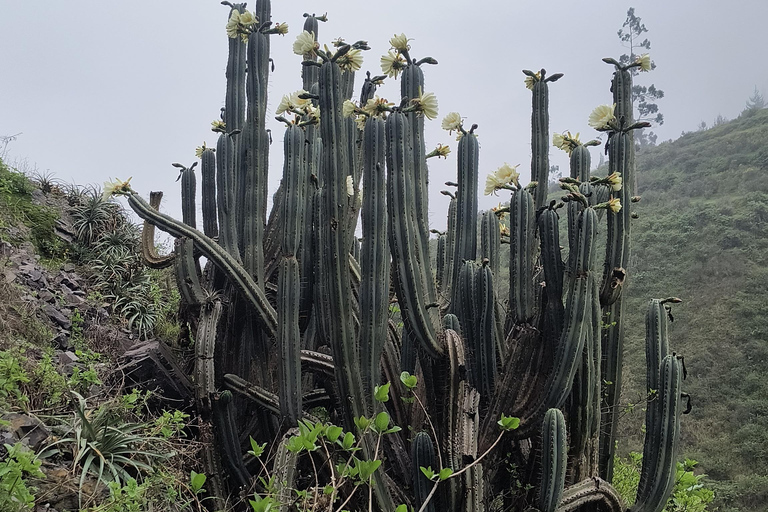Hike in the Andes Mountains of Lima (Antakallo Waterfall) Hike in the Surroundings of Lima – Antakallo Waterfall