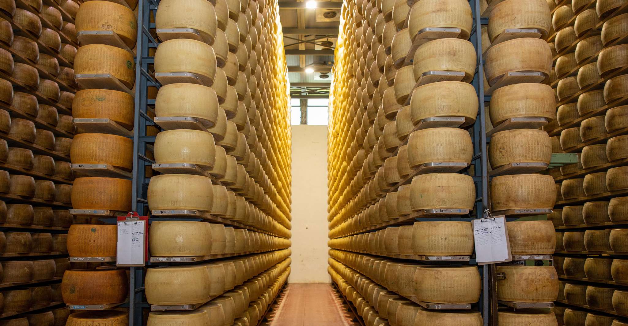 Formigine: Tour del Parmigiano con degustazione completa