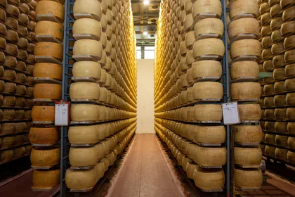 Formigine: Parmesankäse-Tour mit vollständiger Verkostung