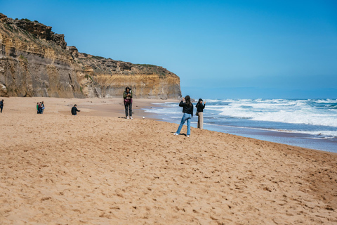 Från Melbourne: Heldagsutflykt till Great Ocean RoadFrån Melbourne: Heldagsutflykt på &quot;Great Ocean Road&quot;