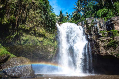 Ubud: Apenbos, Rijstterras, Schommel, Watertempel