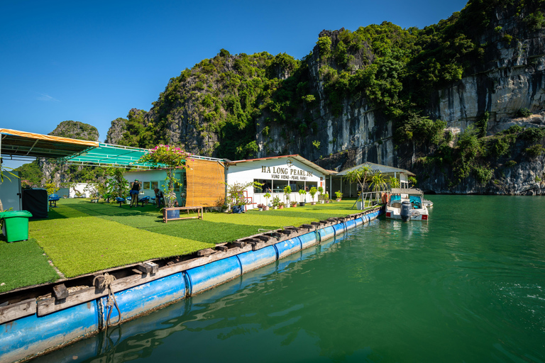2-Day Peaceful in Bai Tu Long Bay with Luxury Cruise